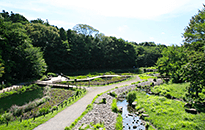 「泉の森公園」
