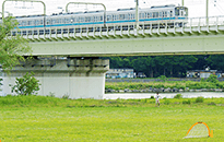 「和泉多摩川」駅周辺の多摩川河川敷