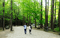 「生田緑地」