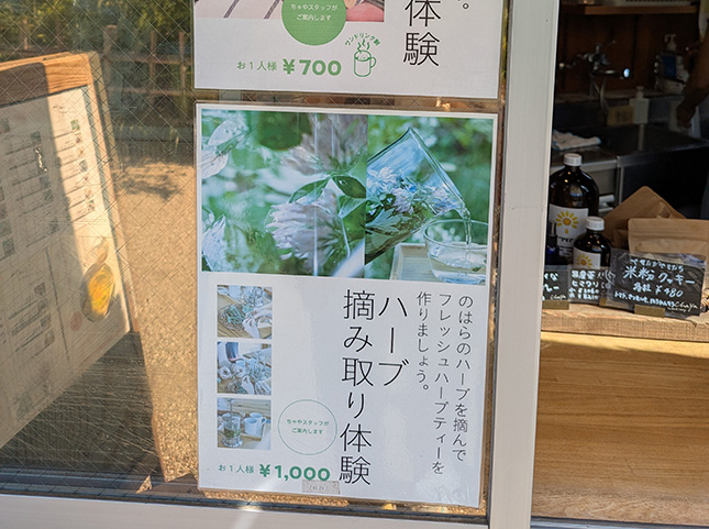 ハーブたちに癒される